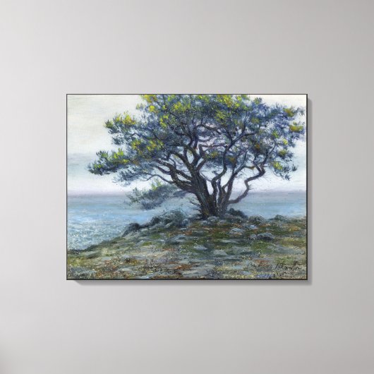 ‚Salt Point Tree‘ Leinwanddruck (Vorderseite)