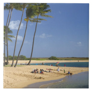 Salt Pond Park auf der Insel Kauai Fliese