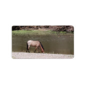 Salt River Wild Horses Collection Address Label Adressaufkleber (Vorne)