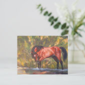 Salt River Wild Stallion Tango Postkarte (Stehend Vorderseite)