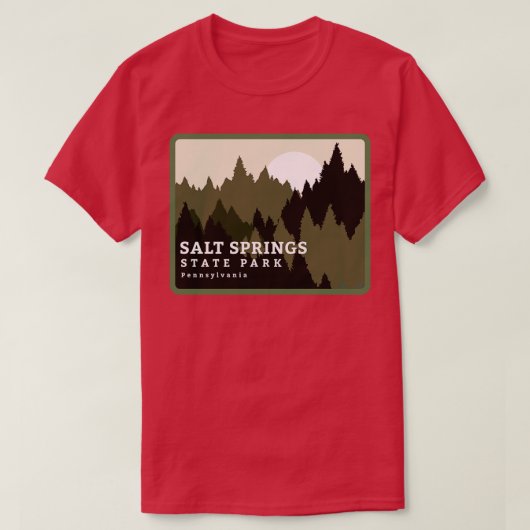 Salt Springs Staaten Park Pennsylvania Forest Sunr T-Shirt (Design vorne)