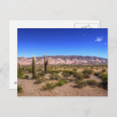 Salta Argentina Cactus Pflanze und Barren Hill Postkarte (Vorne/Hinten)