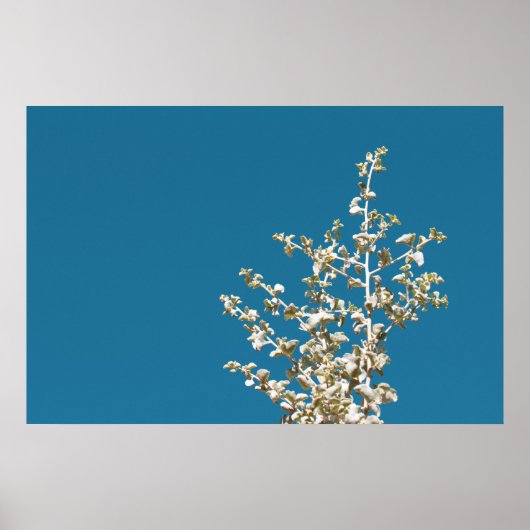 Saltbush Atriplex Leaf Natur Minimalistisches Post Poster (Vorne)