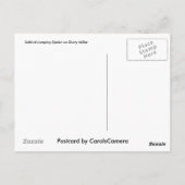 Salticid Jumping Spider auf Dusty Miller Postkarte (Rückseite)