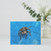 Salticide Black & White Jumping Spider Postcard Postkarte (Stehend Vorderseite)