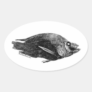 Salton Sea Dead Tilapia Oval Sticker