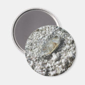 Salton Sea Magnet (Vorderseite/Rückseite)