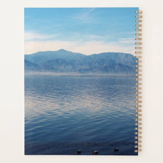 Salton Sea Planer (Rückseite)