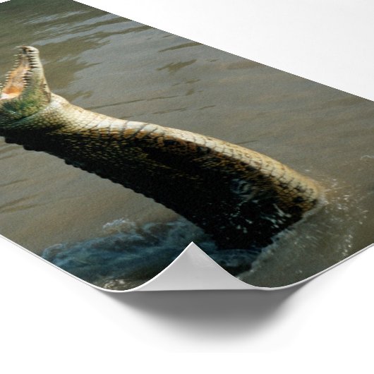 Saltwater Croc Poster (Ecke)