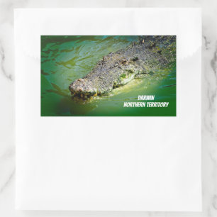 Saltwater Crocodile aus Darwin Rechteckiger Aufkleber