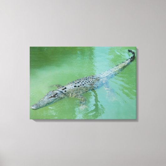 Saltwater Crocodile Leinwanddruck (Vorderseite)