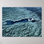 Saltwater Mermaid Poster (Vorne)