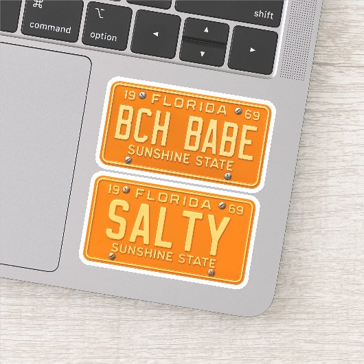 Salty Beach Babe - Retro Florida License Plate 2pc Aufkleber (Detail)