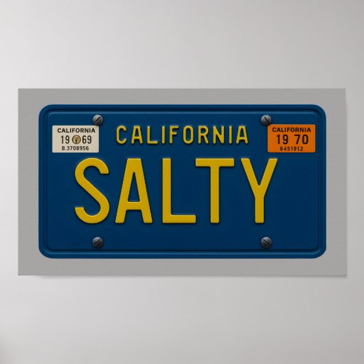 Salty - Retro 1969 California License Plate Art Poster (Vorne)