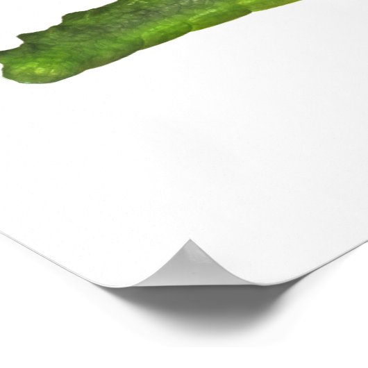 Salty the Crocodile Poster (Ecke)