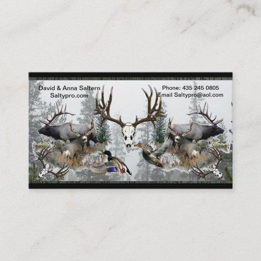 Saltypro Entwurfsgeschäft ODER Visitenkarte (Vorderseite)