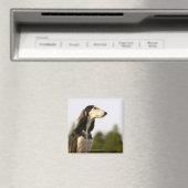 Saluki 2 magnet (In Situ (Geschirrspüler))