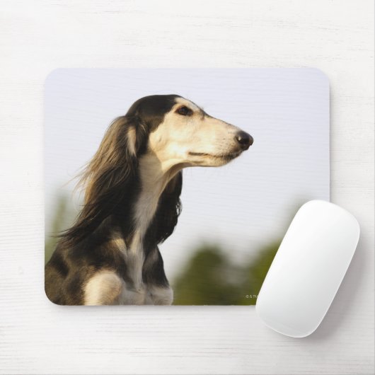 Saluki 2 mousepad (Mit Mouse)