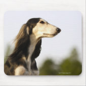 Saluki 2 mousepad (Vorne)