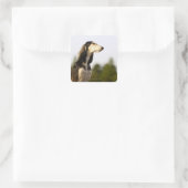 Saluki 2 quadratischer aufkleber (Tasche)