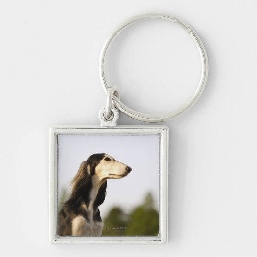 Saluki 2 schlüsselanhänger (Vorne)