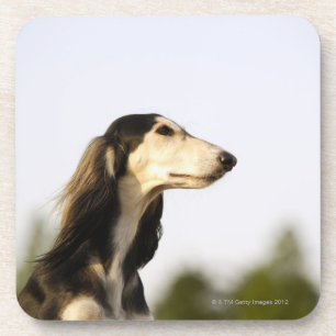 Saluki 2 untersetzer