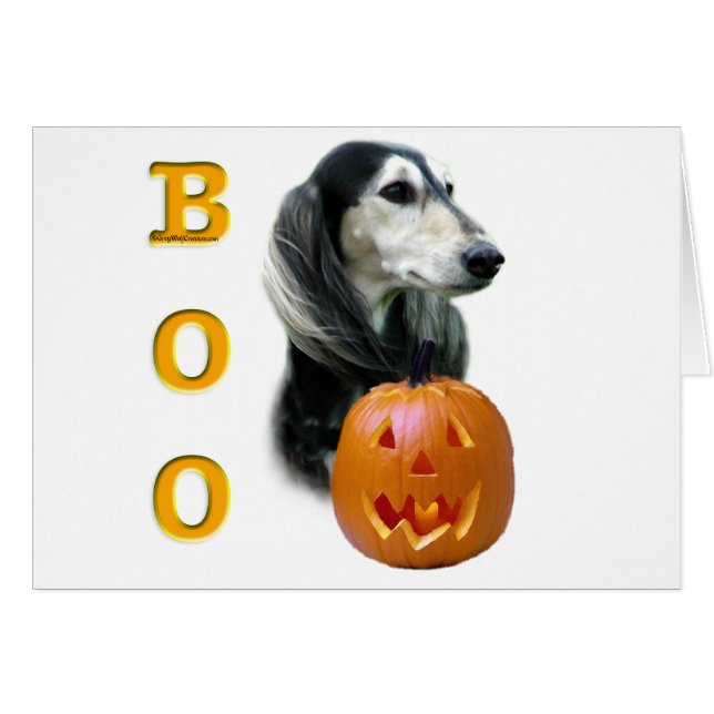 Saluki Boo (Vorderseite (Horizontal))