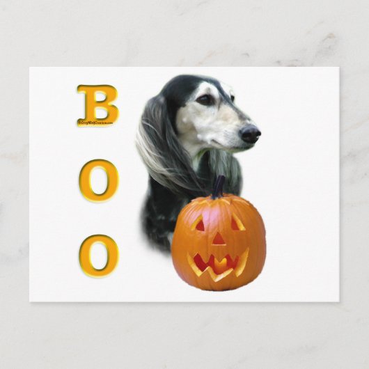 Saluki Boo Postkarte (Vorderseite)