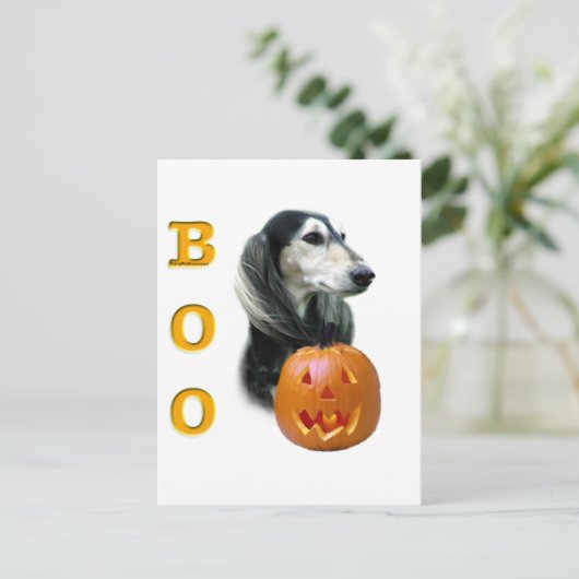 Saluki Boo Postkarte (Stehend Vorderseite)