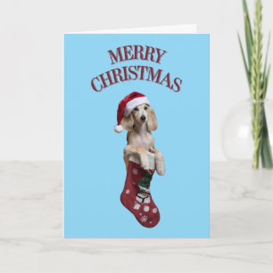 Saluki Christmas Strumpf Karte