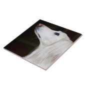 Saluki, das oben schaut fliese (Seite)