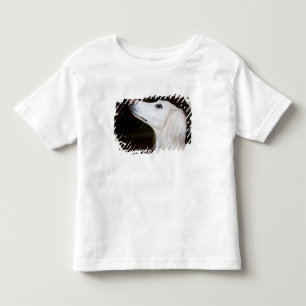 Saluki, das oben schaut kleinkind t-shirt