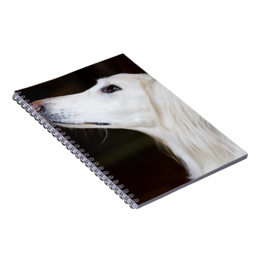 Saluki, das oben schaut notizblock (Rechte Seite)