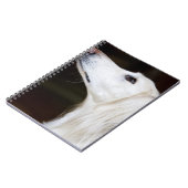 Saluki, das oben schaut notizblock (Linke Seite)