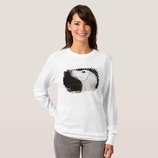 Saluki, das oben schaut T-Shirt (Vorne ganz)