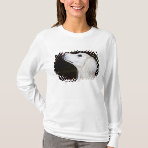 Saluki, das oben schaut T-Shirt