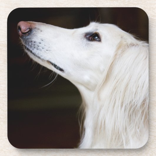 Saluki, das oben schaut untersetzer (Vorderseite)