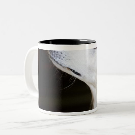 Saluki, das oben schaut zweifarbige tasse (Vorderseite Links)
