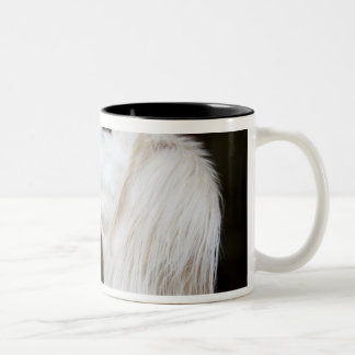 Saluki, das oben schaut zweifarbige tasse