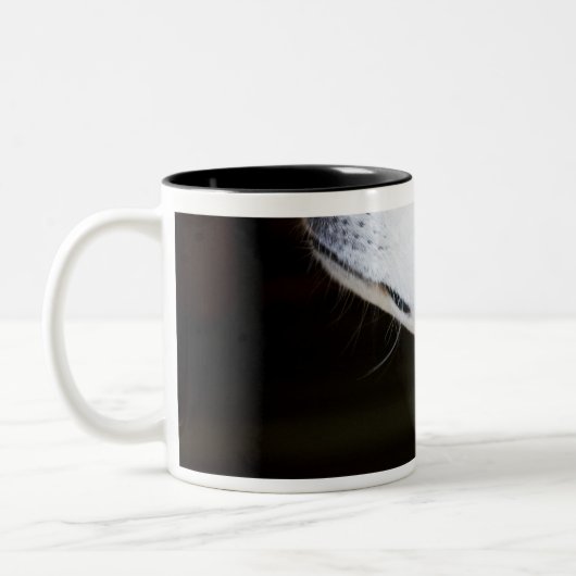 Saluki, das oben schaut zweifarbige tasse (Links)