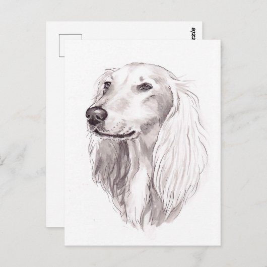 Saluki Dog Art Ink Zeichnend Postkarte (Vorne/Hinten)