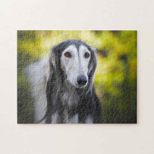 Saluki Dog Jigsaws. Puzzle (Horizontal)