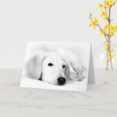 Saluki Gruß-Karten Karte (Gelbe Blume)