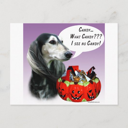 Saluki Halloween Candy Postkarte (Vorderseite)