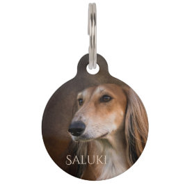 Saluki Haustiermarke