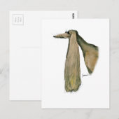 Saluki-Hund, tony fernandes Postkarte (Vorne/Hinten)