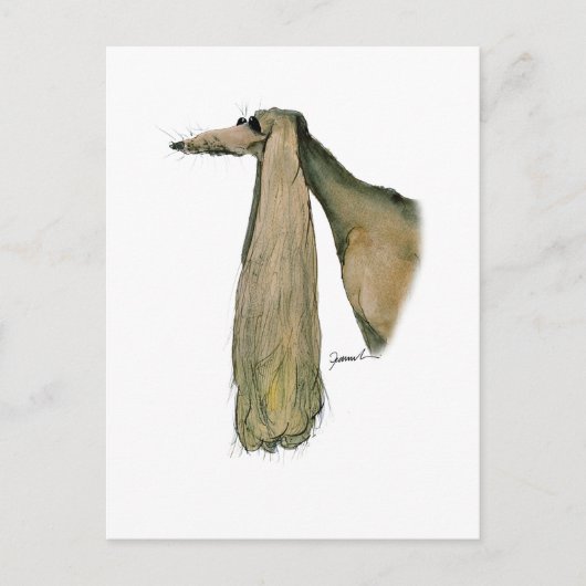 Saluki-Hund, tony fernandes Postkarte (Vorderseite)