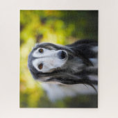 Saluki-Hunde-Puzzles. Puzzle (Vertikal)