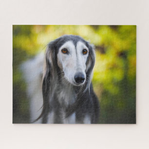 Saluki-Hunde-Puzzles. Puzzle