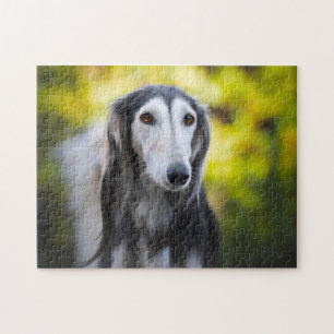 Saluki-Hunde-Puzzles. Puzzle
